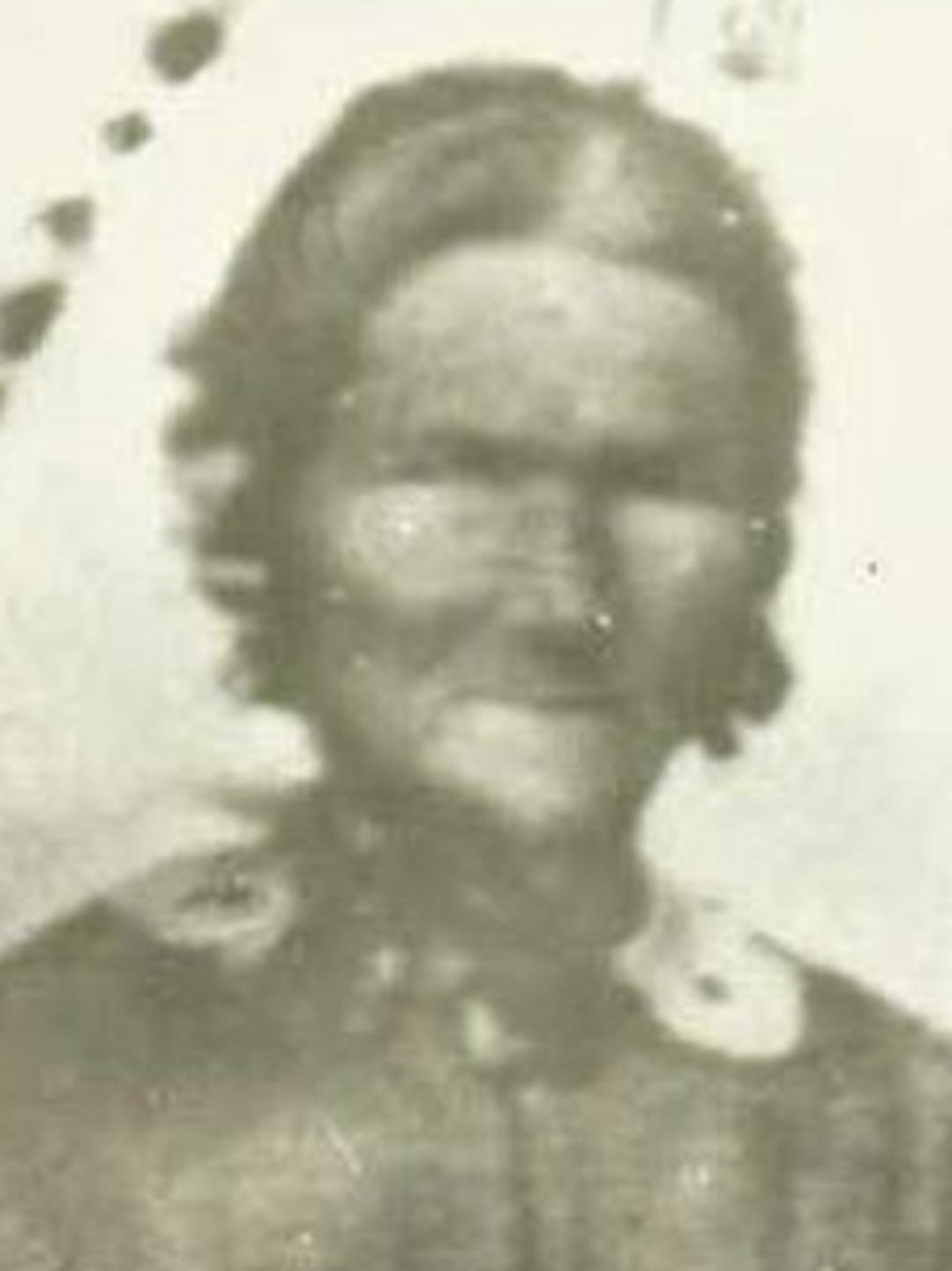 Terressa Morse (1813 - 1882) Profile